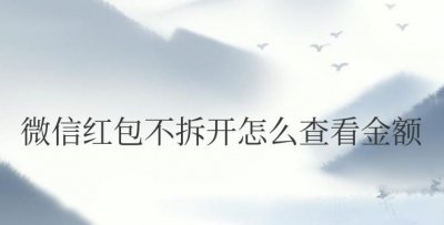 微信红包不拆开怎么查看金额