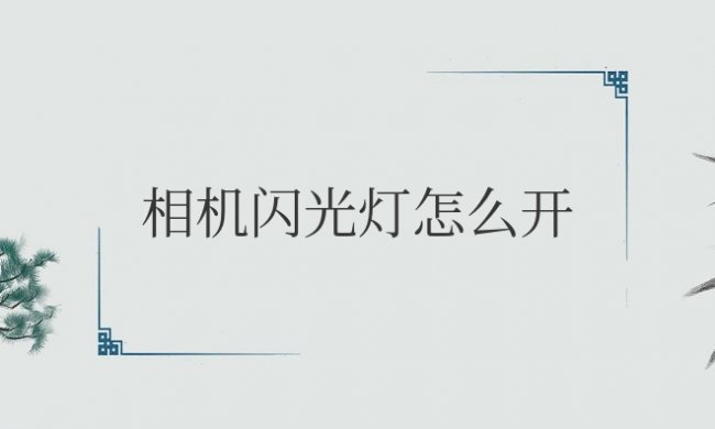 手机相机闪光灯怎么开