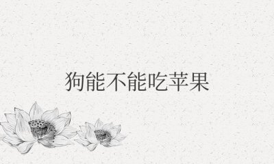 狗能不能吃苹果 狗狗多久吃一次苹果最好