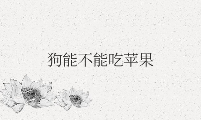 狗能不能吃苹果