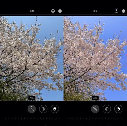 苹果相机的鲜明度可以用什么代替