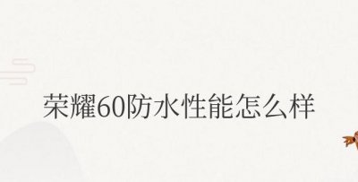 荣耀60防水性能怎么样 防水功能测评如何