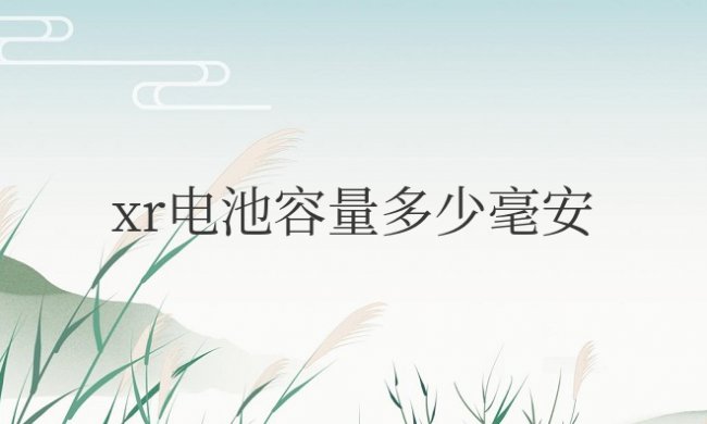 苹果xr电池容量多少毫安