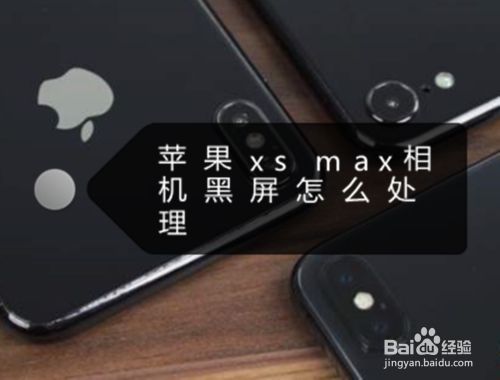 苹果手机后置摄像头黑屏不能拍照怎么解决
