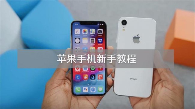 新手初次使用苹果手机教程