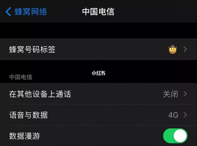 苹果12怎么关闭5g网络换4g