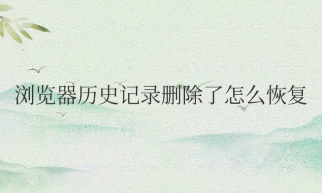 浏览器历史记录删除了怎么恢复手机