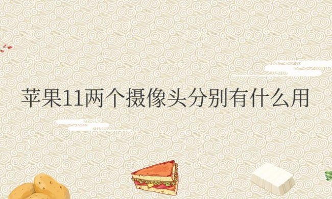 苹果11两个摄像头分别有什么用途