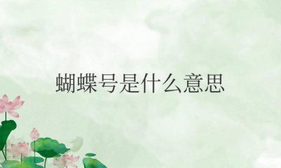 抖音蝴蝶号是什么意思 指抖音上的一种账号类型