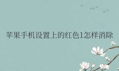 苹果手机设置上的红色1怎样消除不了
