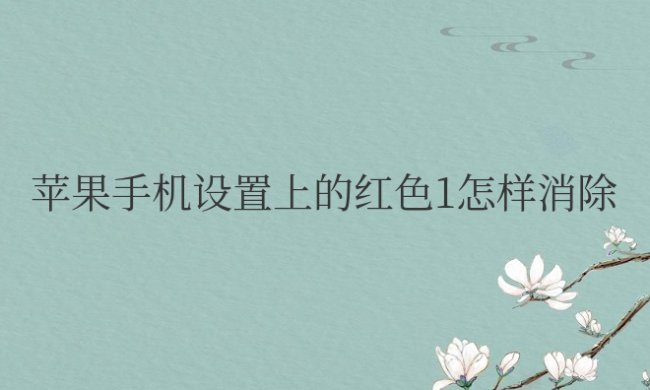 苹果手机设置上的红色1怎样消除不了