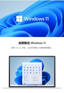 win11家庭版和专业版的区别