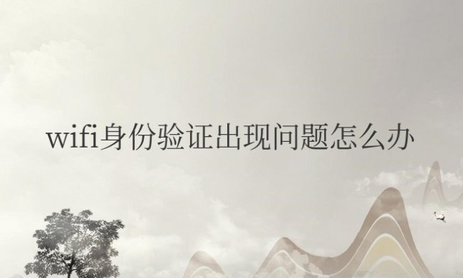 连接wifi身份验证出现问题怎么办