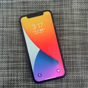 苹果x黑屏有声音不亮屏什么原因