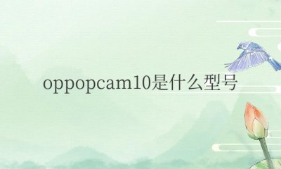 oppopcam10是什么型号手机 oppo A9参数详情