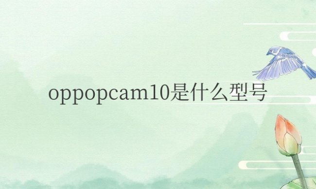 oppopcam10是什么型号手机