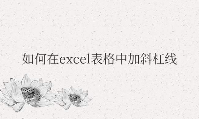 如何在excel表格中加斜杠线并输入文字