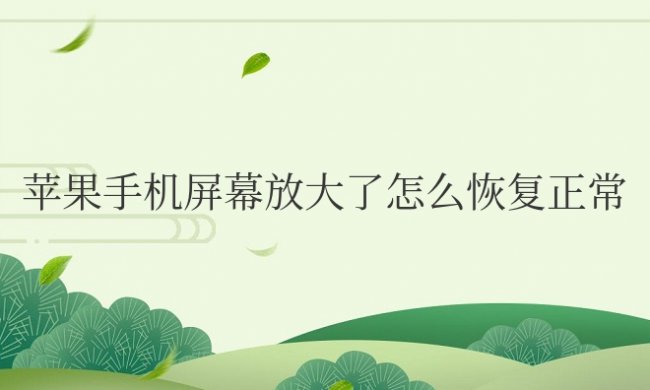 苹果手机屏幕放大了怎么恢复正常开不了锁