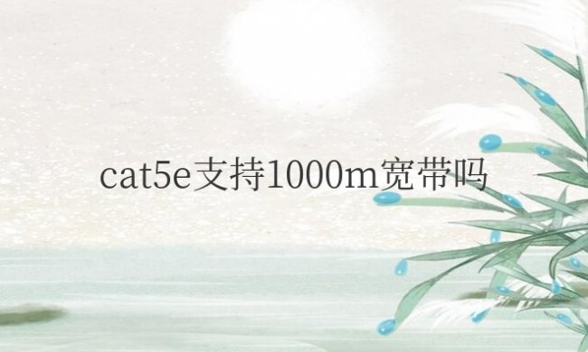 网线cat5e支持1000m宽带吗