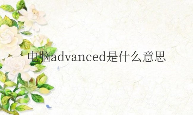 电脑advanced是什么意思