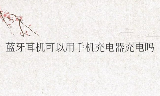 华为蓝牙耳机可以用手机充电器充电吗