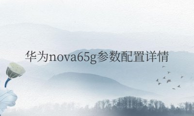 华为nova65g参数配置详情 手机性能怎么样