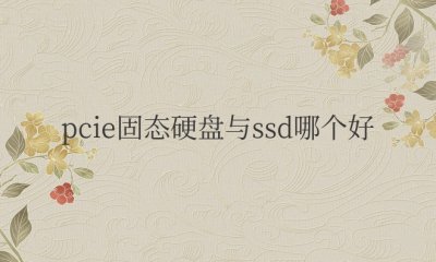 pcie固态硬盘与ssd哪个好