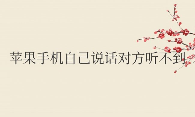 苹果手机自己说话对方听不到,但微信可以语音