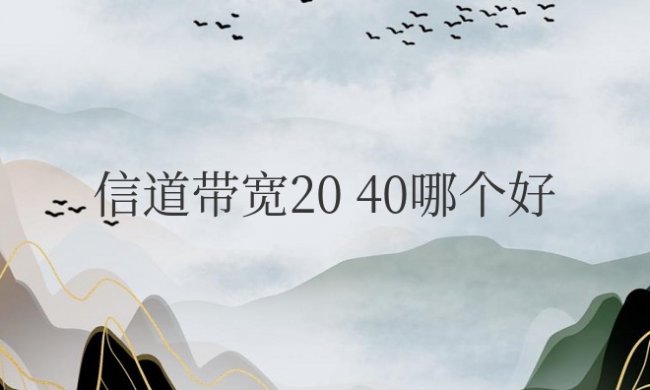 wifi信道带宽20