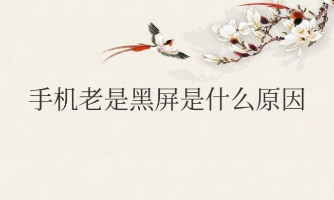 vivo手机老是黑屏是什么原因