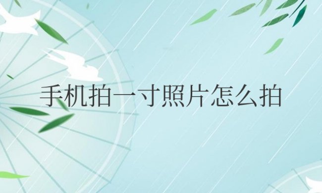 手机拍一寸照片怎么拍电子版