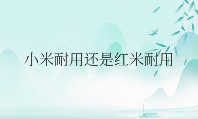 小米耐用还是红米耐用的手机