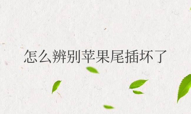 怎么辨别苹果尾插坏了