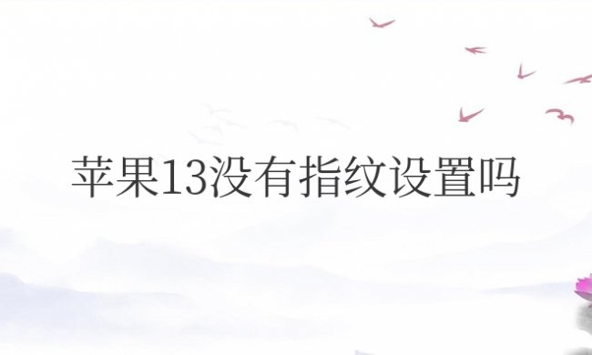 苹果13没有指纹设置吗