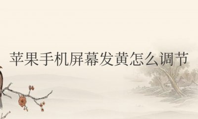 苹果手机屏幕发黄怎么调节变白