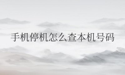 苹果手机停机怎么查本机号码 如何在苹果手机停机时查找本机号码?