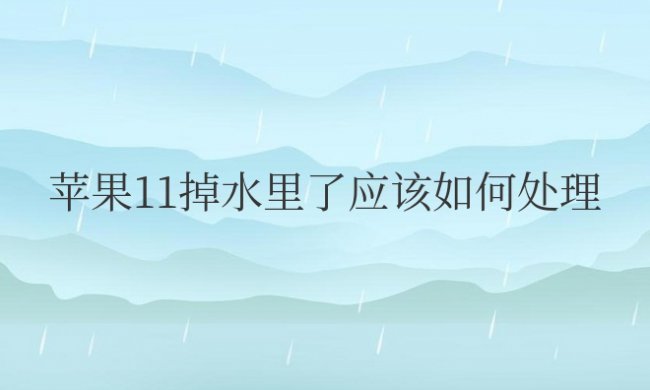 苹果11掉水里了应该如何处理