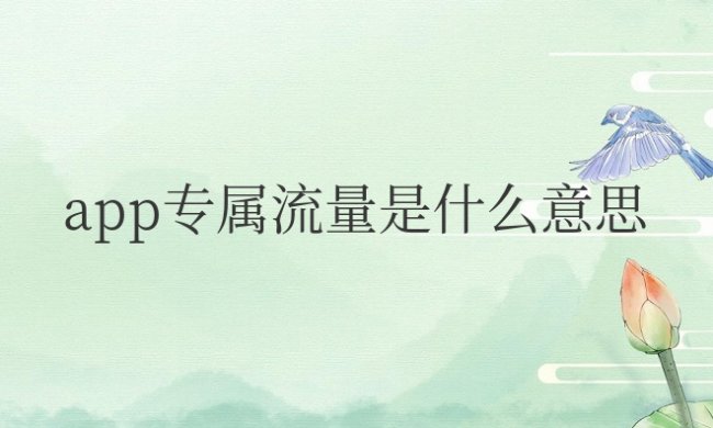 app专属流量是什么意思?怎么使用?