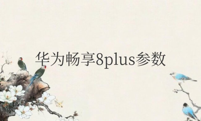 华为畅享8plus参数配置详情