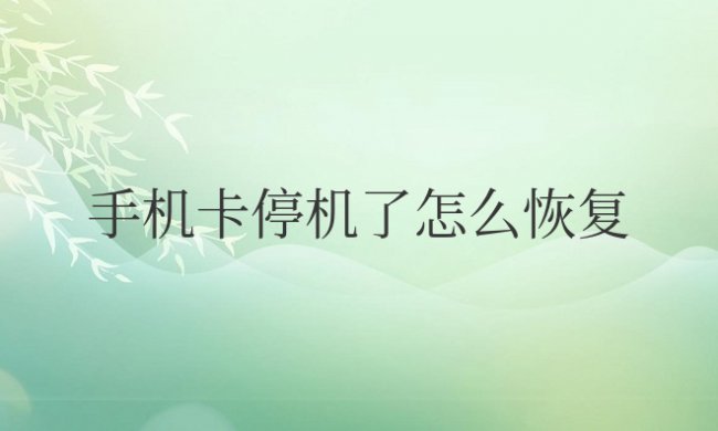 手机卡停机了怎么恢复使用