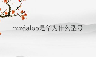 mrdaloo是华为什么型号 华为畅享9e性能如何