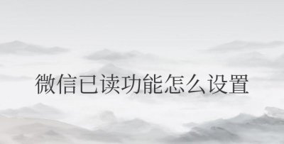 安卓微信已读功能怎么设置 如何在安卓微信中开启已读功能