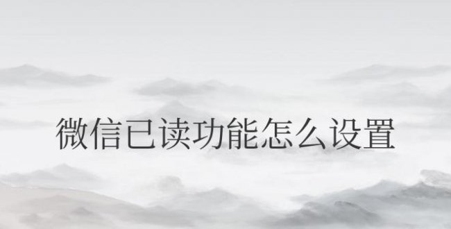 安卓微信已读功能怎么设置