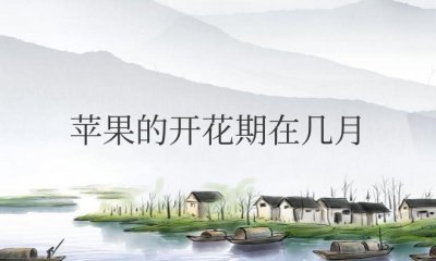 苹果的开花期在几月份开花 苹果树何时开花?