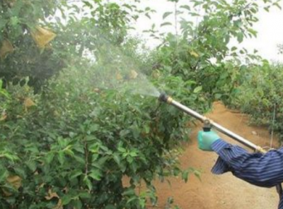 苹果树一年打药时间表 苹果树农药施用时间表