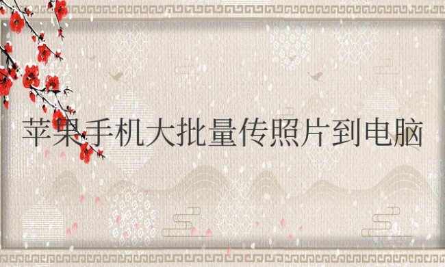 苹果手机大批量传照片到电脑怎么弄