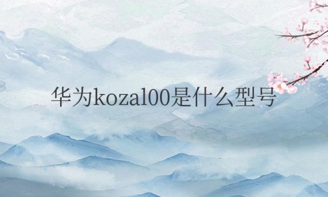 华为kozal00是什么型号