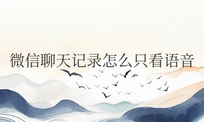 微信聊天记录怎么只看语音消息