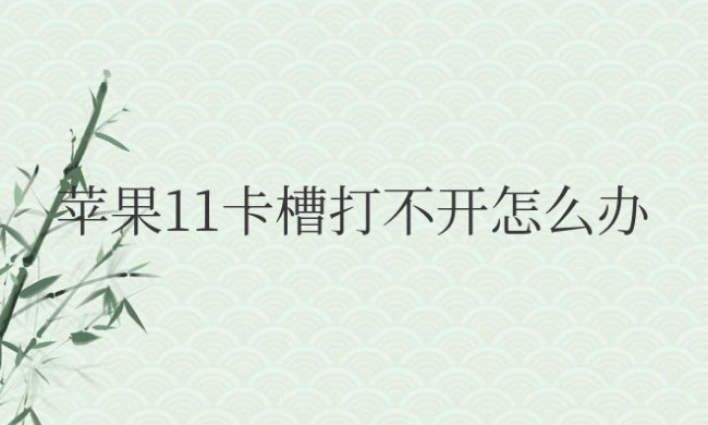 苹果11卡槽打不开怎么办