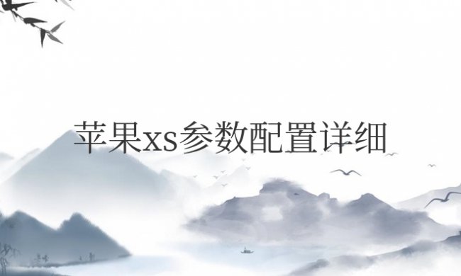 苹果xs max参数配置详情